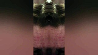 Amateur couple enjoys anal sex in 360-degree video